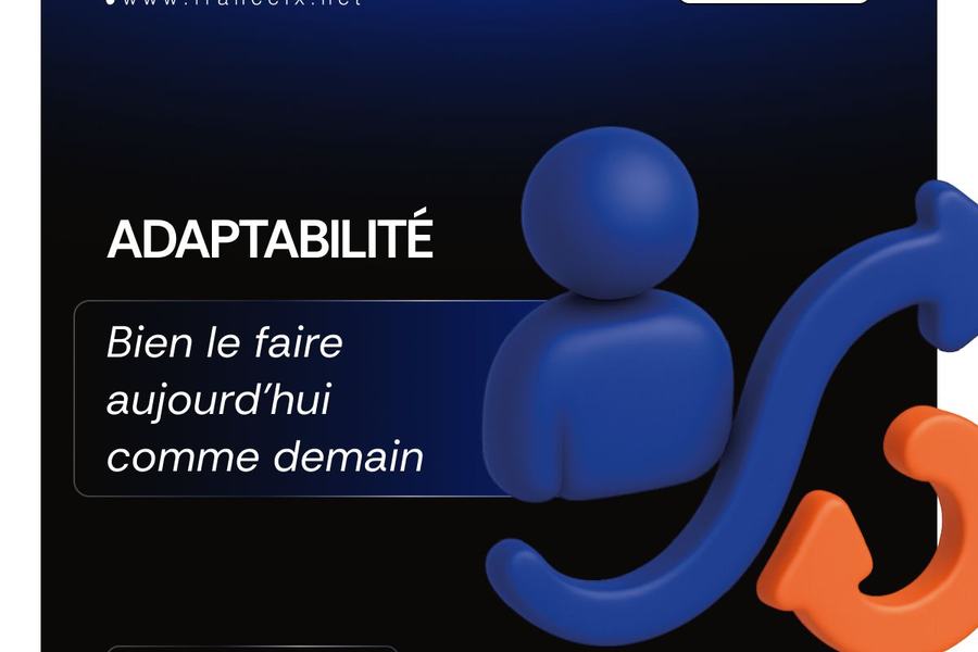 Visuel France-IX « Valeurs » : « Adaptabilité, bien le faire aujourd’hui comme demain », avec un personnage et des flèches.