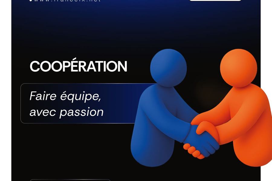 Visuel France-IX « Valeurs » : « Coopération, faire équipe, avec passion », avec deux personnages qui se serrent la main.