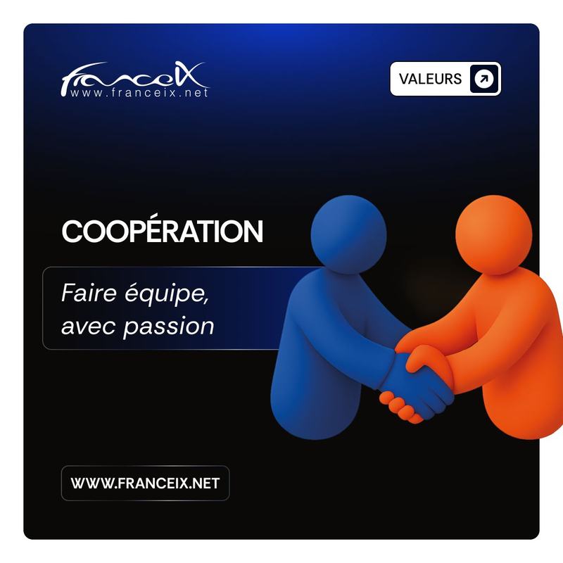 Visuel France-IX « Valeurs » : « Coopération, faire équipe, avec passion », avec deux personnages qui se serrent la main.